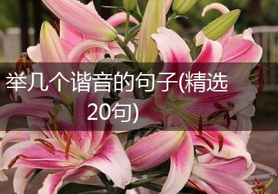 举几个谐音的句子(精选20句)