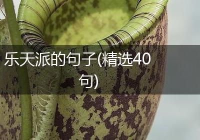 乐天派的句子(精选40句)