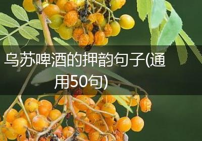 乌苏啤酒的押韵句子(通用50句)
