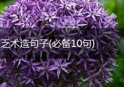 乏术造句子(必备10句)
