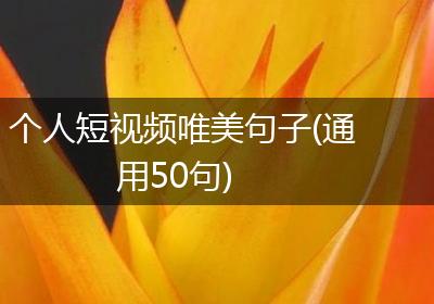 个人短视频唯美句子(通用50句)