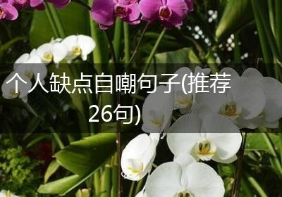 个人缺点自嘲句子(推荐26句)