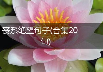 丧系绝望句子(合集20句)
