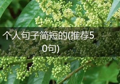 个人句子简短的(推荐50句)
