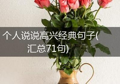 个人说说高兴经典句子(汇总71句)