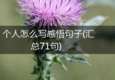 个人怎么写感悟句子(汇总71句)