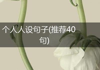 个人人设句子(推荐40句)