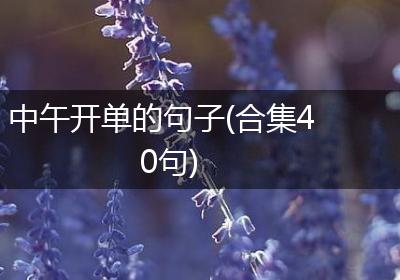 中午开单的句子(合集40句)