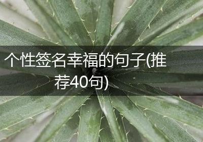 个性签名幸福的句子(推荐40句)
