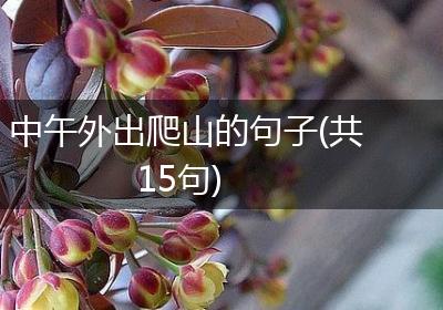 中午外出爬山的句子(共15句)