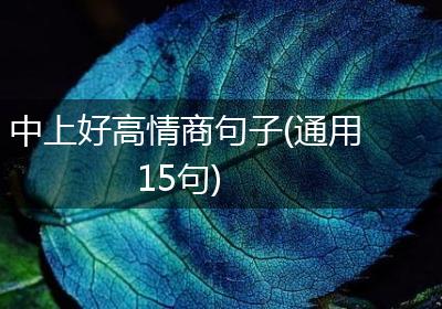 中上好高情商句子(通用15句)