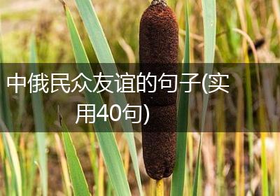 中俄民众友谊的句子(实用40句)