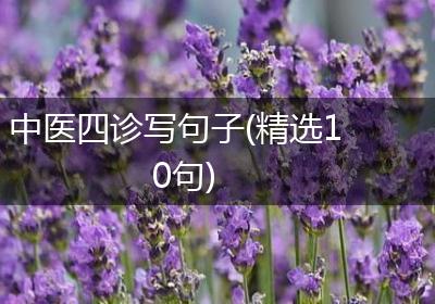 中医四诊写句子(精选10句)