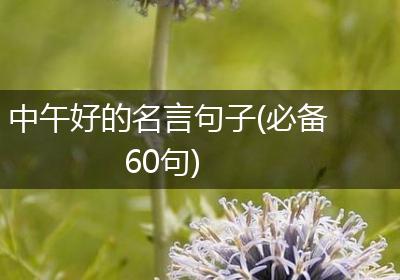 中午好的名言句子(必备60句)