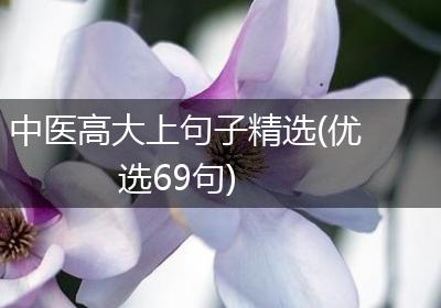 中医高大上句子精选(优选69句)