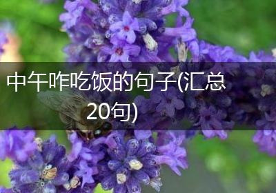 中午咋吃饭的句子(汇总20句)