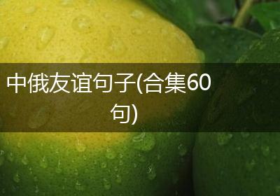 中俄友谊句子(合集60句)
