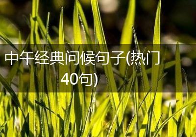 中午经典问候句子(热门40句)