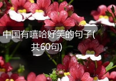 中国有嘻哈好笑的句子(共60句)