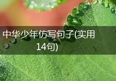 中华少年仿写句子(实用14句)