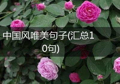 中国风唯美句子(汇总10句)