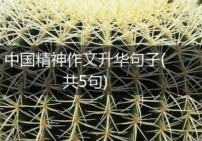 中国精神作文升华句子(共5句)