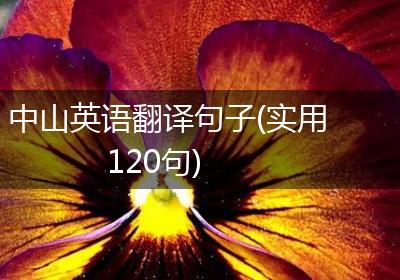 中山英语翻译句子(实用120句)