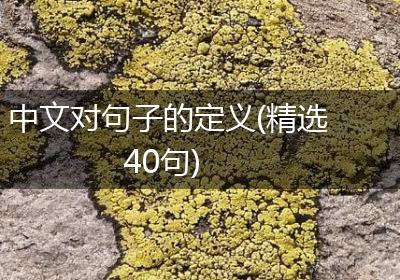 中文对句子的定义(精选40句)