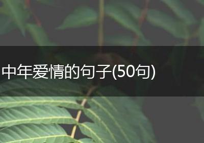 中年爱情的句子(50句)