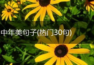 中年美句子(热门30句)