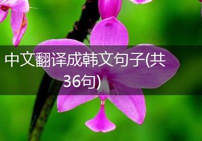 中文翻译成韩文句子(共36句)