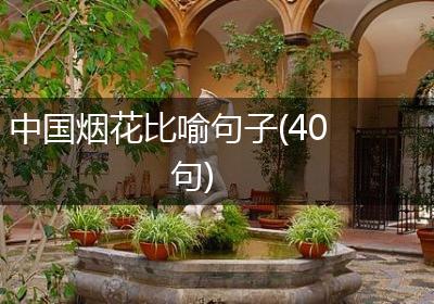 中国烟花比喻句子(40句)