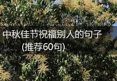 中秋佳节祝福别人的句子(推荐60句)