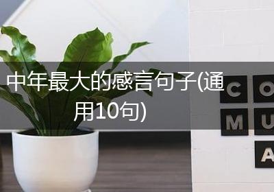 中年最大的感言句子(通用10句)