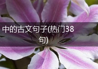 中的古文句子(热门38句)