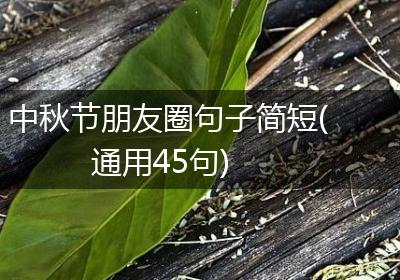 中秋节朋友圈句子简短(通用45句)