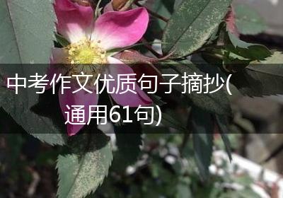 中考作文优质句子摘抄(通用61句)