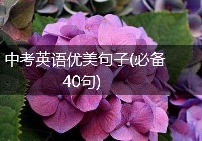 中考英语优美句子(必备40句)