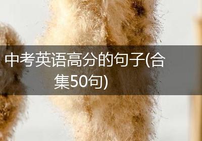 中考英语高分的句子(合集50句)