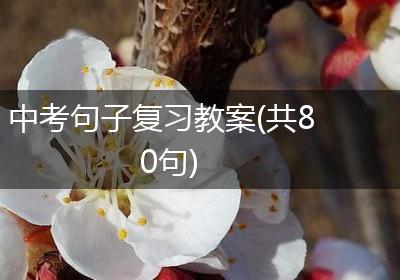 中考句子复习教案(共80句)