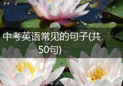 中考英语常见的句子(共50句)