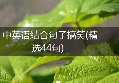 中英语结合句子搞笑(精选44句)