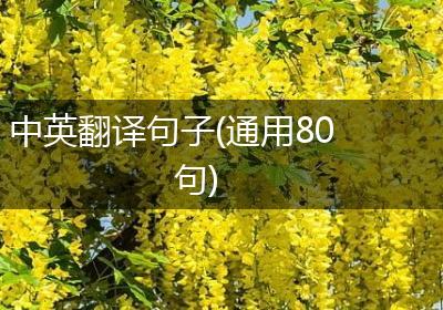 中英翻译句子(通用80句)