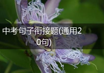 中考句子衔接题(通用20句)