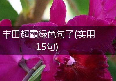 丰田超霸绿色句子(实用15句)