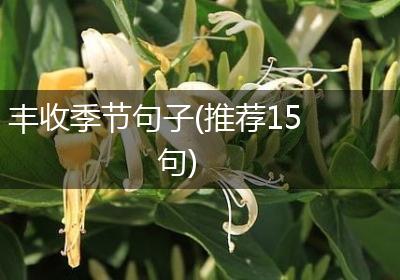 丰收季节句子(推荐15句)
