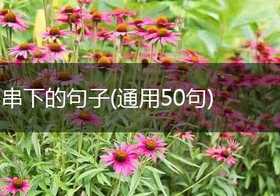 串下的句子(通用50句)