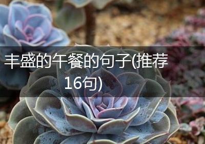 丰盛的午餐的句子(推荐16句)