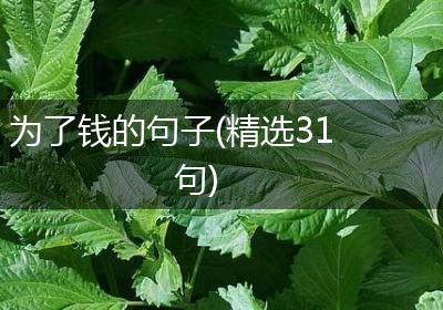 为了钱的句子(精选31句)