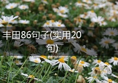 丰田86句子(实用20句)